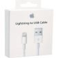 Apple - Lightning USB kabel - Origineel blister - 0.5 Meter